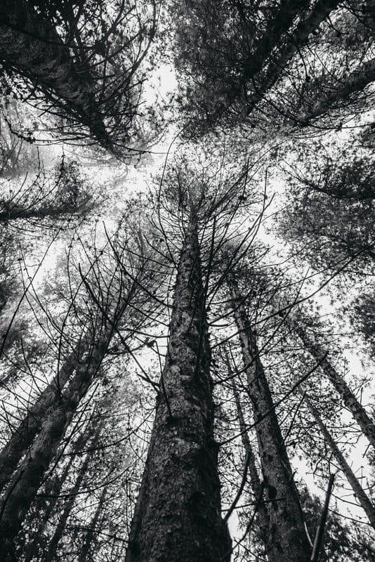 Costa Rica Photographer | Editorial, Commercial & Documentary Photography 255