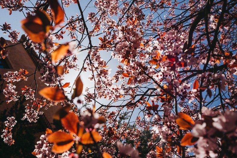 Costa Rica Photographer | Editorial, Commercial & Documentary Photography 253