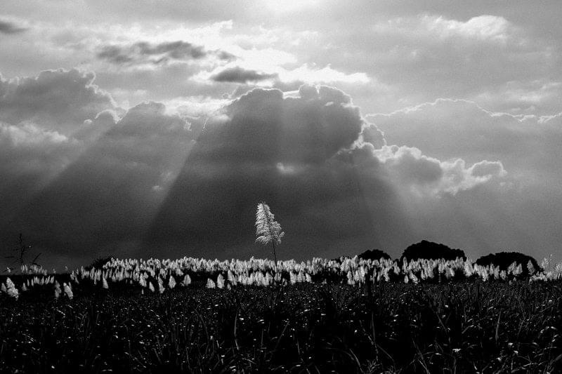 Costa Rica Photographer | Editorial, Commercial & Documentary Photography 235