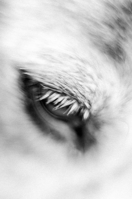 Costa Rica Photographer | Editorial, Commercial & Documentary Photography 291