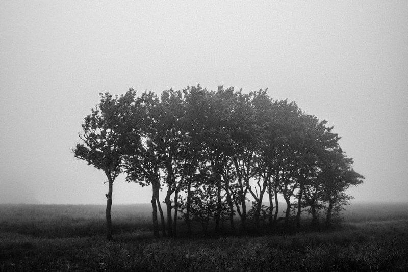 Costa Rica Photographer | Editorial, Commercial & Documentary Photography 233