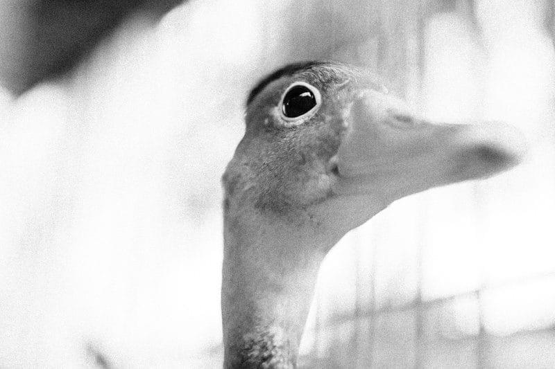 Costa Rica Photographer | Editorial, Commercial & Documentary Photography 293