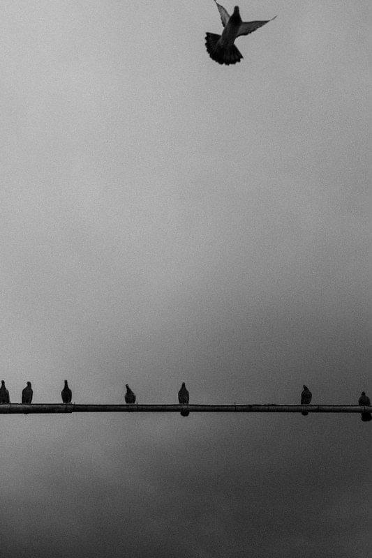 Costa Rica Photographer | Editorial, Commercial & Documentary Photography 207