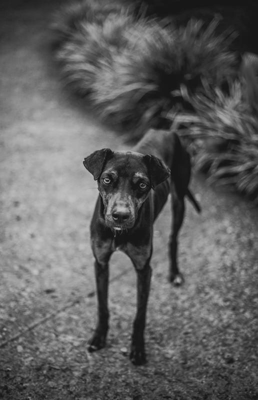 Costa Rica Photographer | Editorial, Commercial & Documentary Photography 281