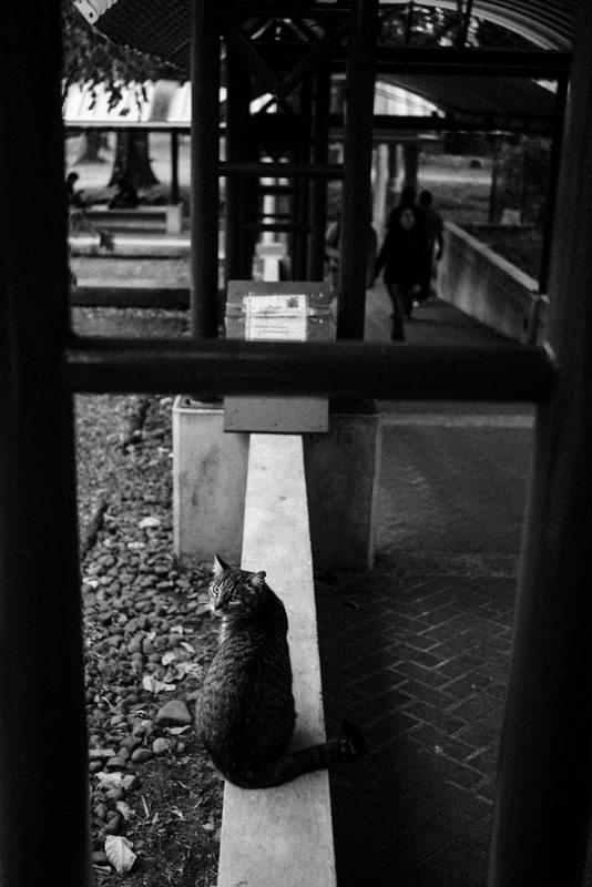 Costa Rica Photographer | Editorial, Commercial & Documentary Photography 161