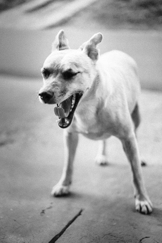 Costa Rica Photographer | Editorial, Commercial & Documentary Photography 289