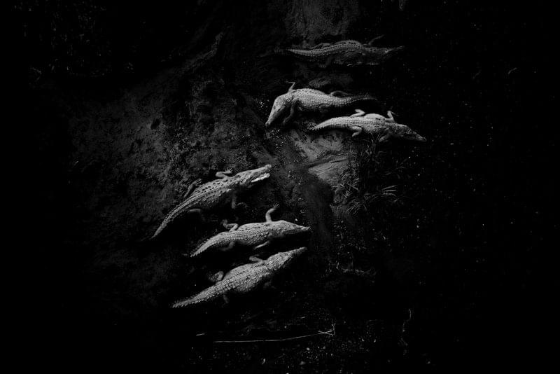 Costa Rica Photographer | Editorial, Commercial & Documentary Photography 283