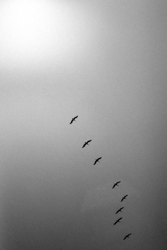 Costa Rica Photographer | Editorial, Commercial & Documentary Photography 279