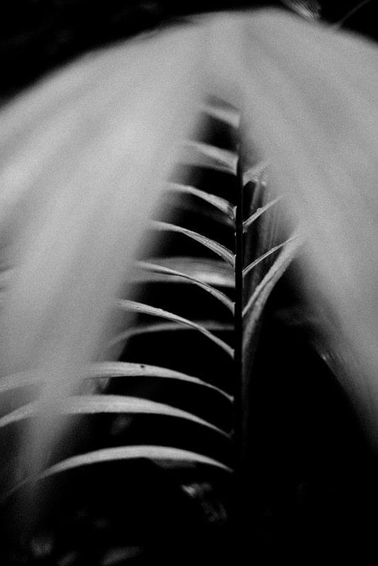 Costa Rica Photographer | Editorial, Commercial & Documentary Photography 277