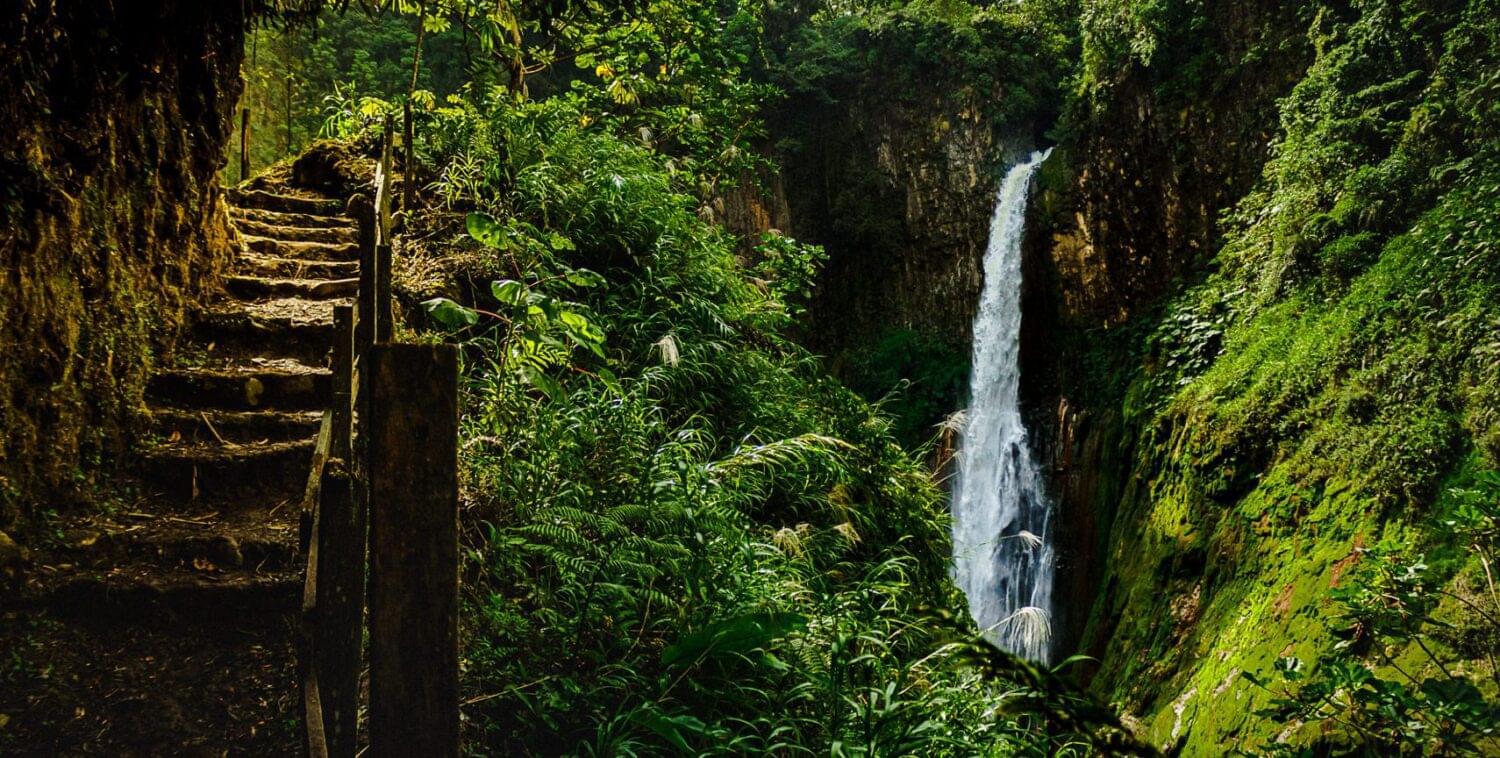 waterfall and pathway in the rain forest of costa rica